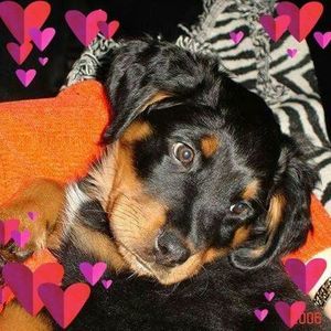 Meet your Posher, Regina